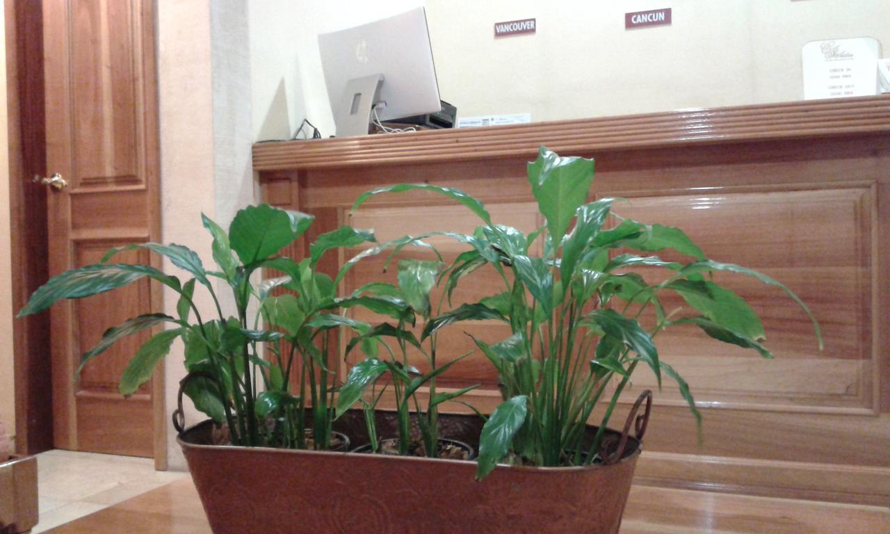 Cancun International Suites Eksteriør bilde